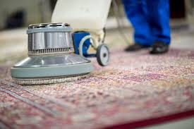 Professional Carpet and Rug Cleaning