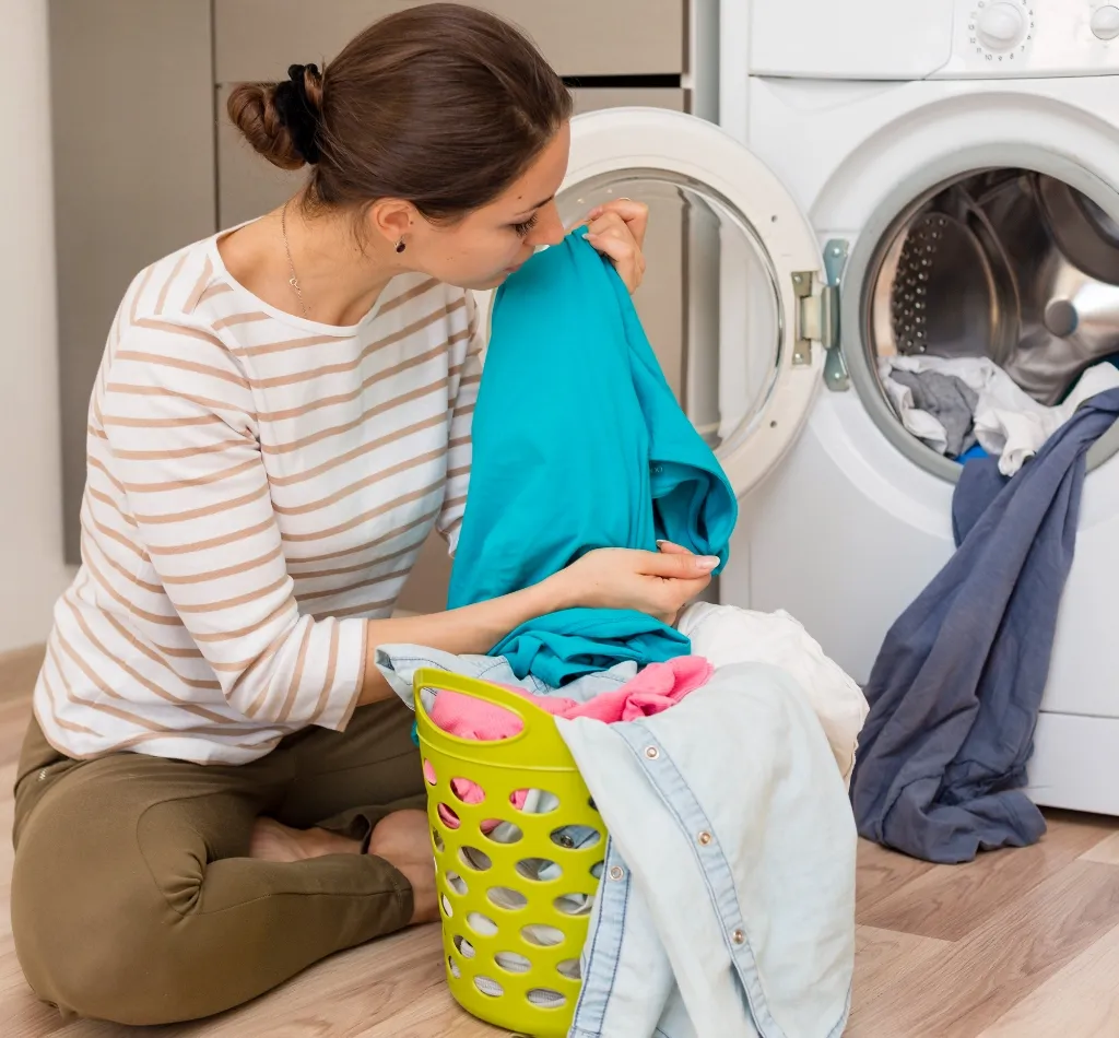 The Orchid Laundry